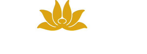 Vietnam Airlines RFID